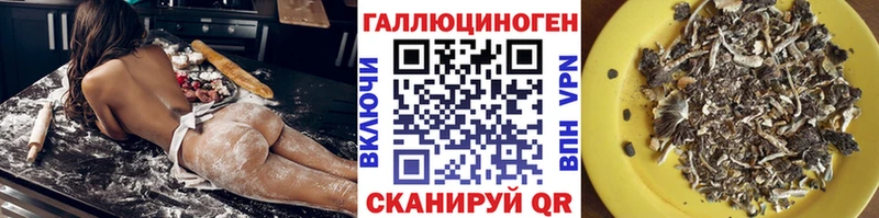 Галлюциногенные грибы мицелий Купить где Комсомольск-на-Амуре